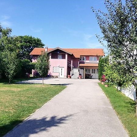 Guest House Lucija Buzin Exteriér fotografie